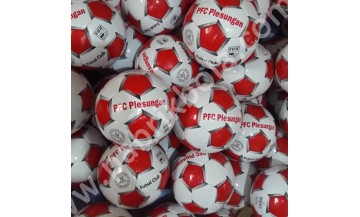 BOLA FUTSAL PLESUNGAN